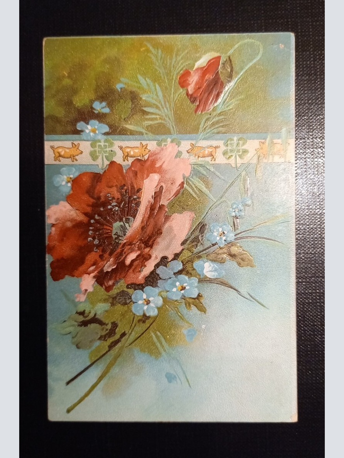 Prägekarte Mohnblume Und Schweine 650463 Ga B