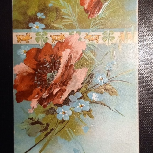 Prägekarte Mohnblume Und Schweine 650463 Ga B