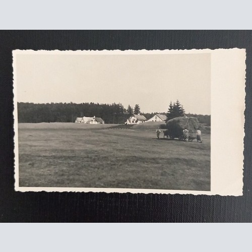 Haunsberg Kaiserbuche 650280 Ga E