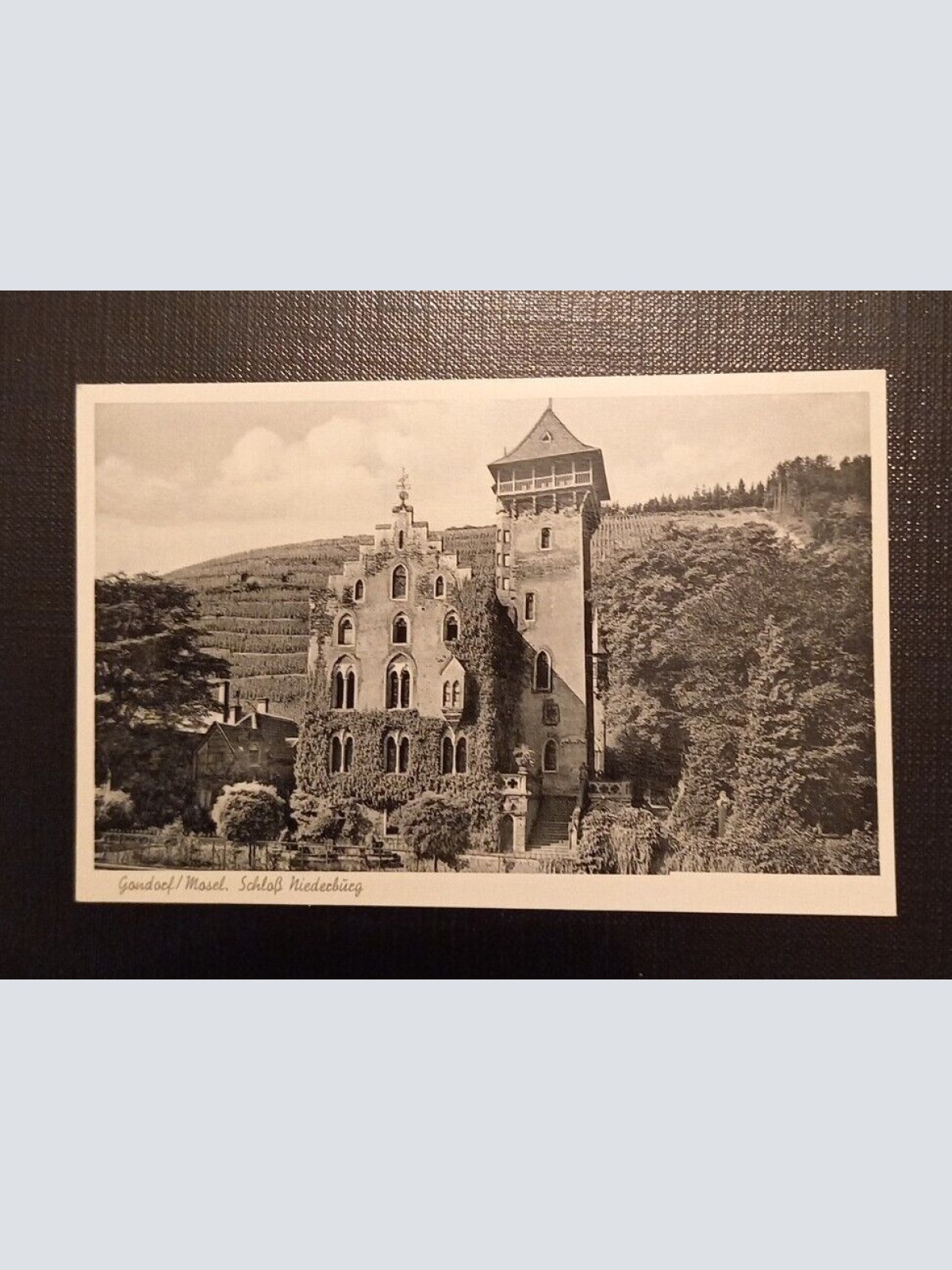 Gondorf Mosel Schloß Niederburg 040 Ga E