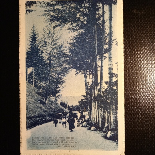 Strada Che Scendi alla f.pianura 402793 gr C