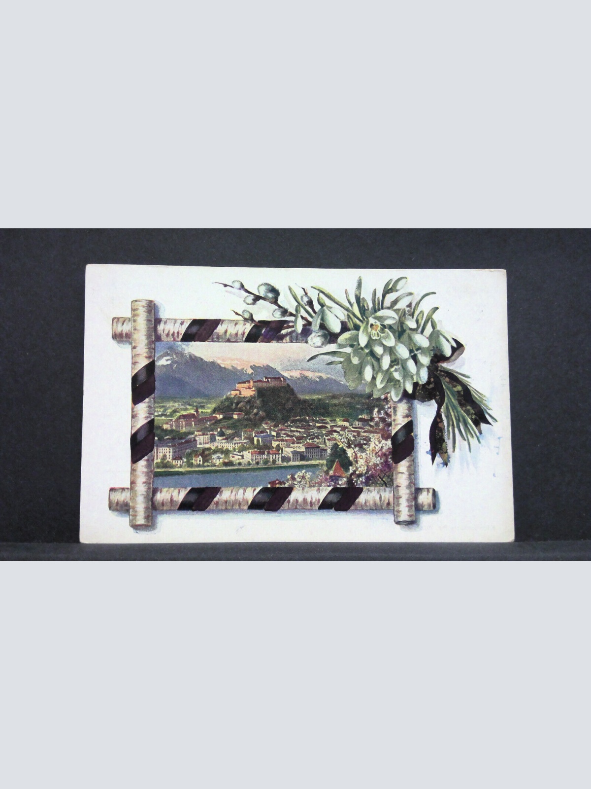 Künstlerkarte Salzburg Festung Zweige JW 165759