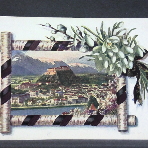 Künstlerkarte Salzburg Festung Zweige JW 165759