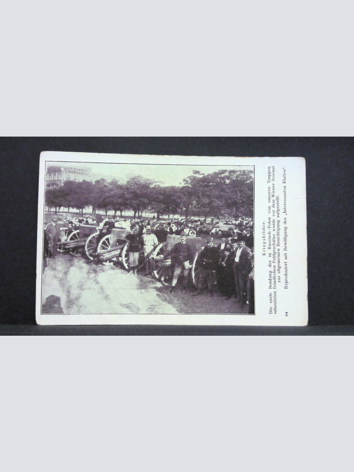 Kriegsbilder Erbeutete Feldgeschütze Österreichische Armee JW 165460