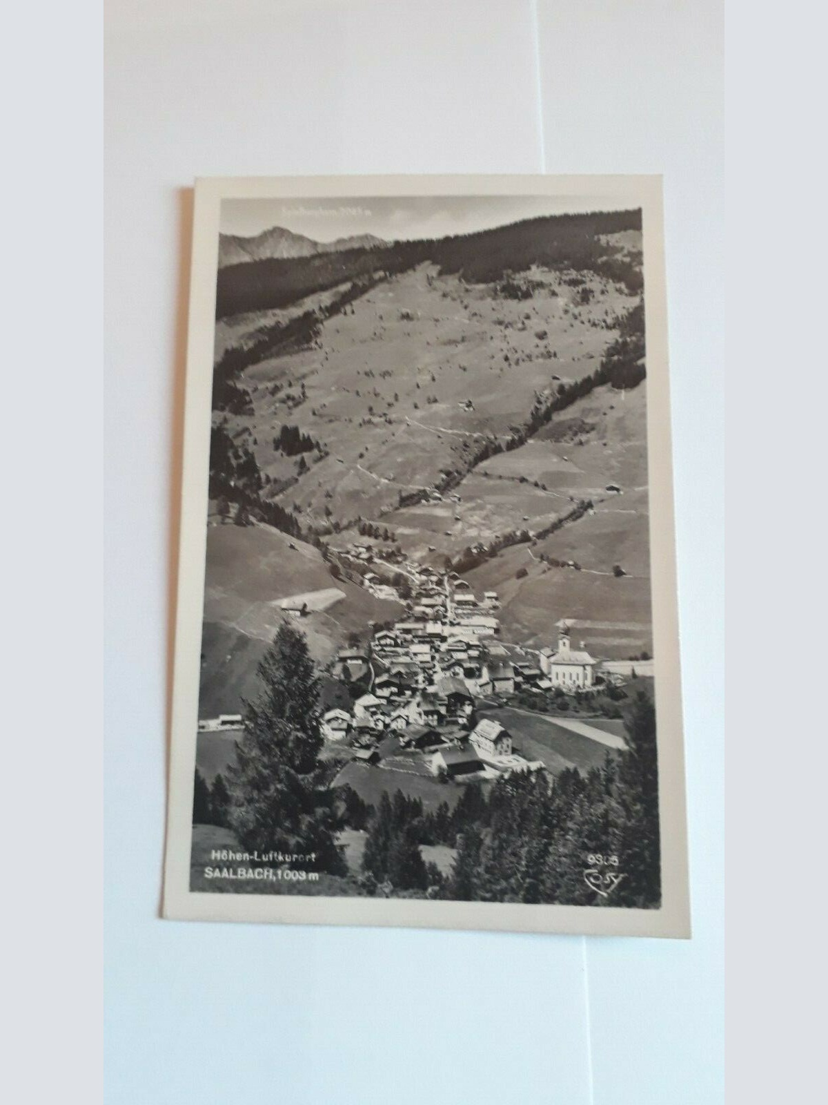 Höhen-Luftkurort Saalbach, 1003m 25012