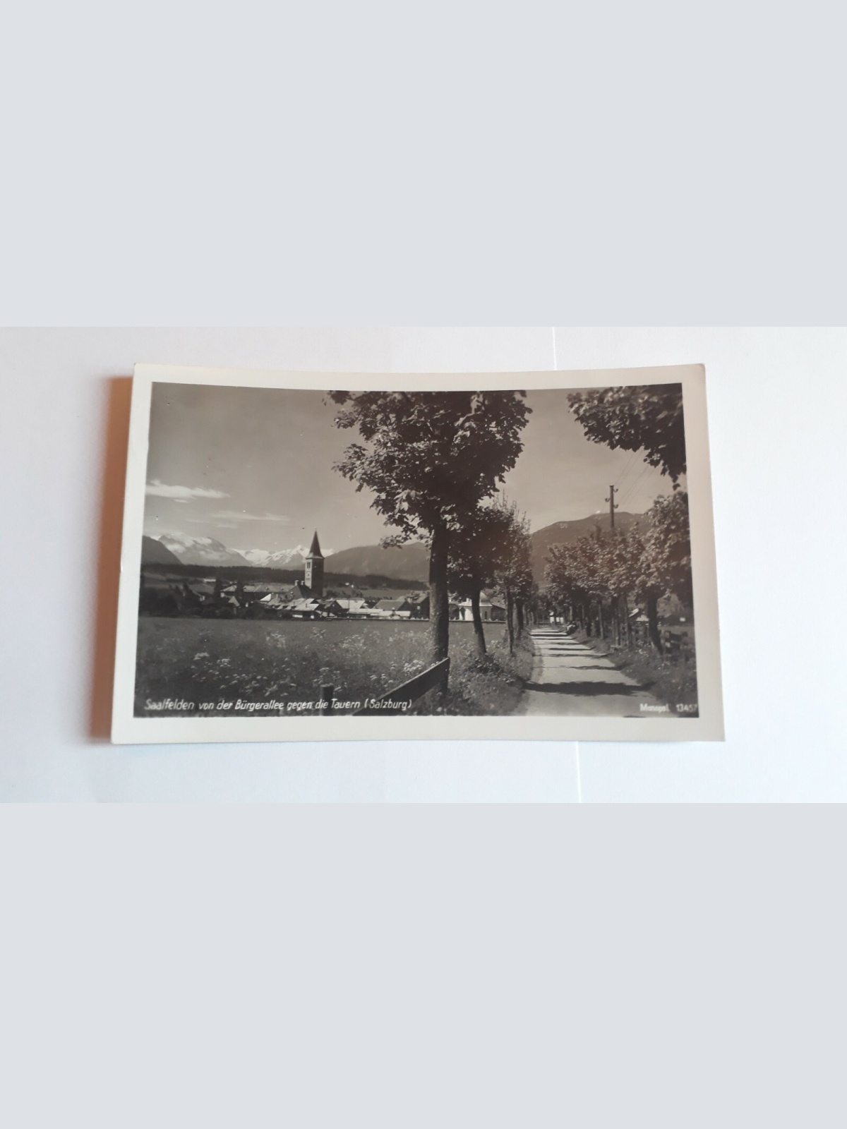 Saalfelden von der Bürgeralle gegen die Tauern (Salzburg) 25014