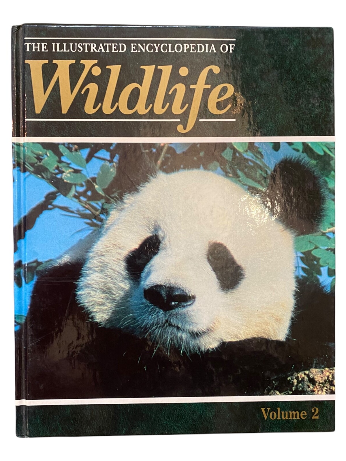587 THE ILLUSTRATED ENCYCLOPEDIA OF WILDLIFE Volume 2 HC