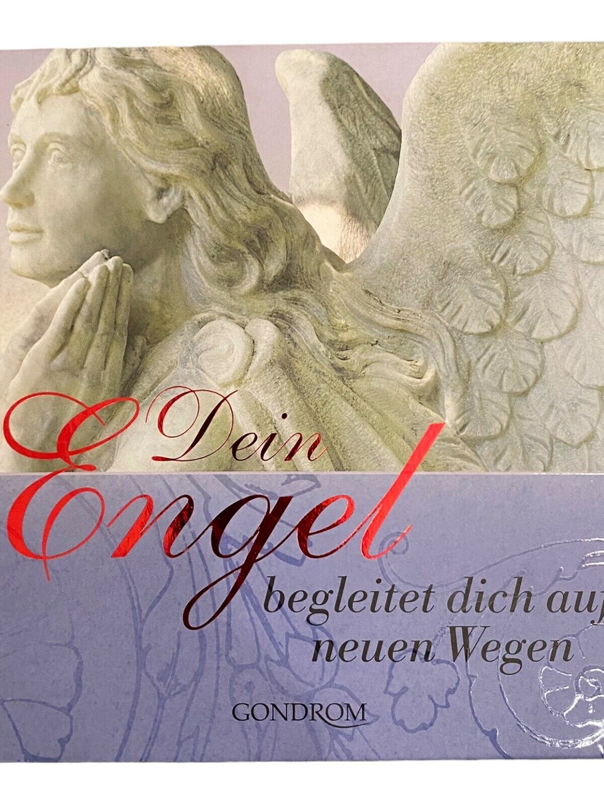 1270 Christiane Schlüter DEIN ENGEL BEGLEITET DICH AUF NEUEN WEGEN HC