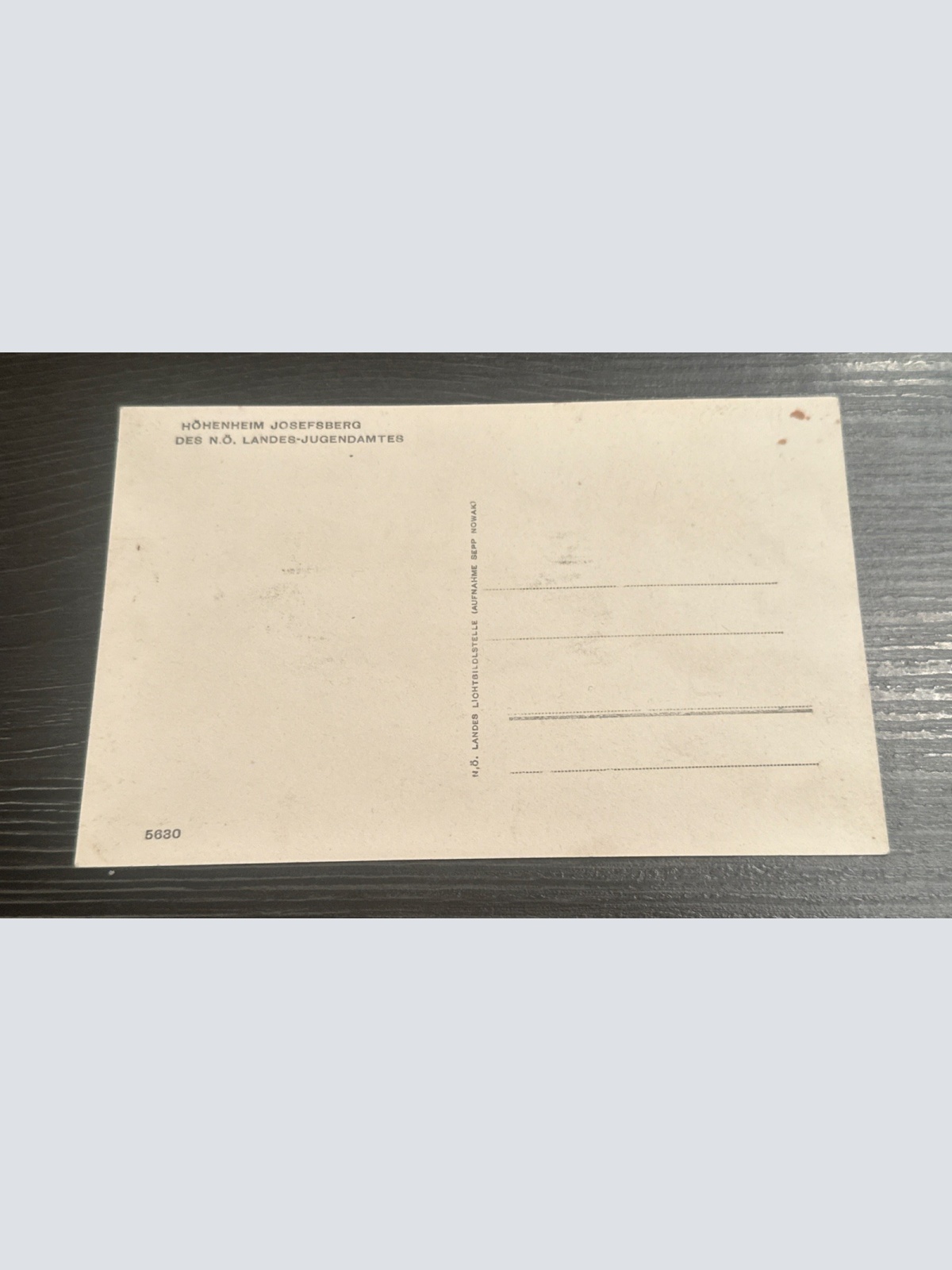 Josefsberg Höhenheim Niederösterreich Ski Fahrer Langlauf Langläufer 6345879 J