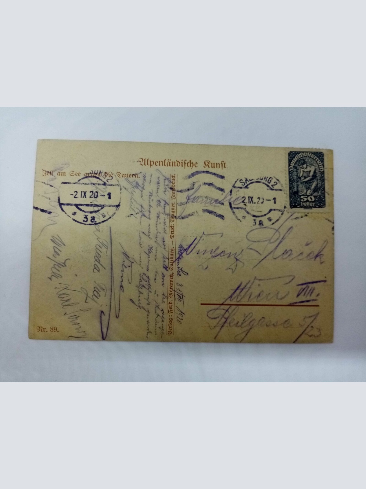 Alpenansicht Flussufer Zell am See 80063