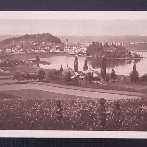 Salzburg Mattsee 600797A gr