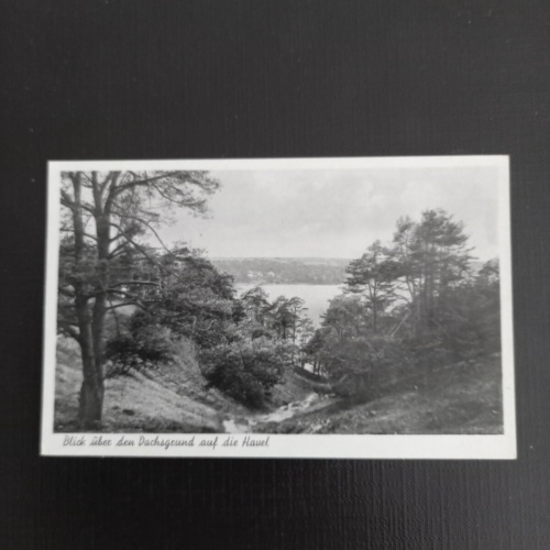 Dachsgrund auf die Havel 400509 gr A