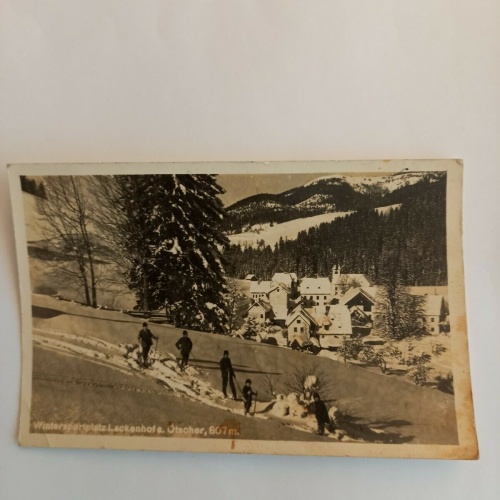 Niederösterreich,  Lackenhof a.Ötscher Skifahren Ski Skifahrer 541