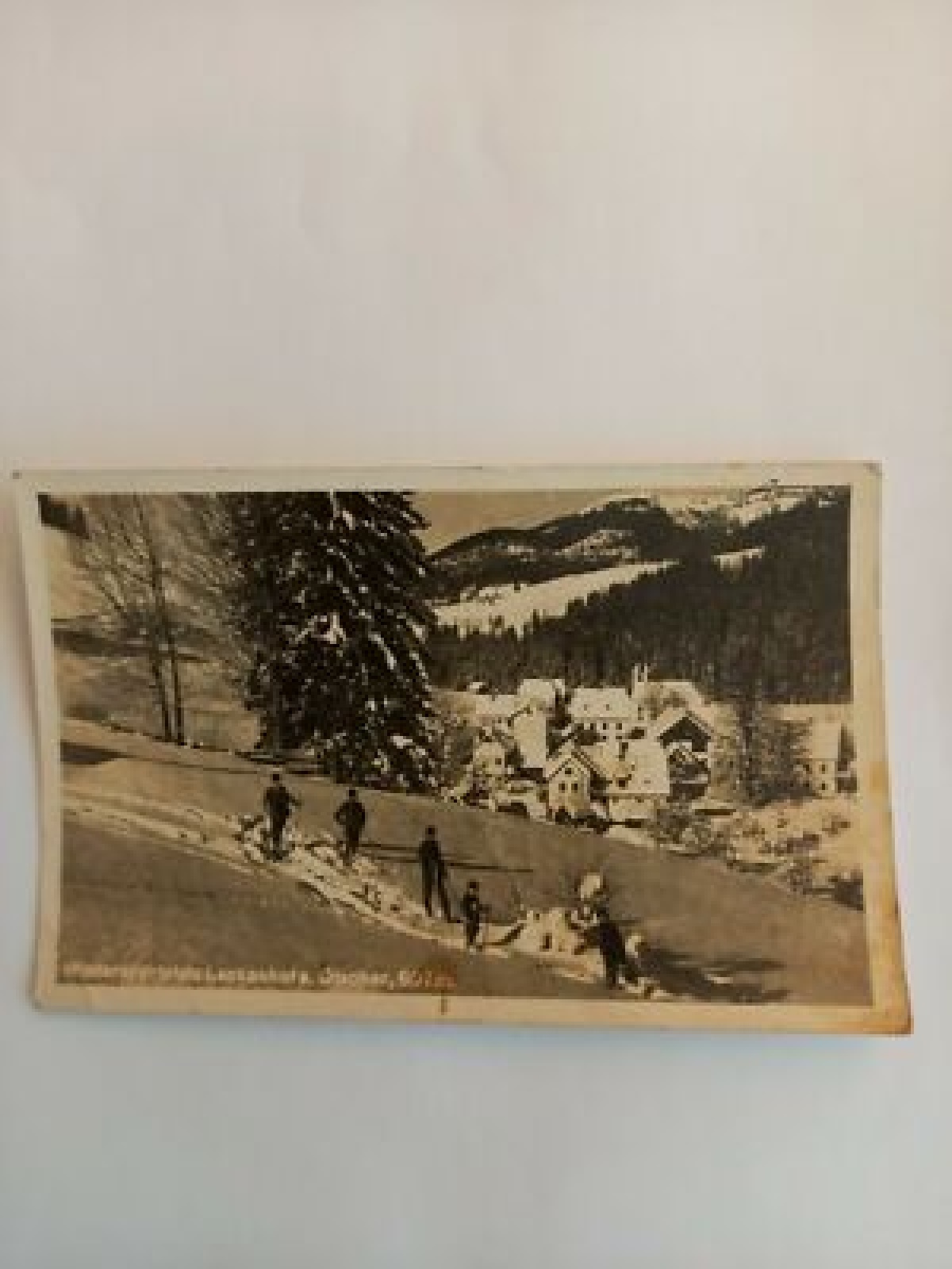 Niederösterreich,  Lackenhof a.Ötscher Skifahren Ski Skifahrer 541