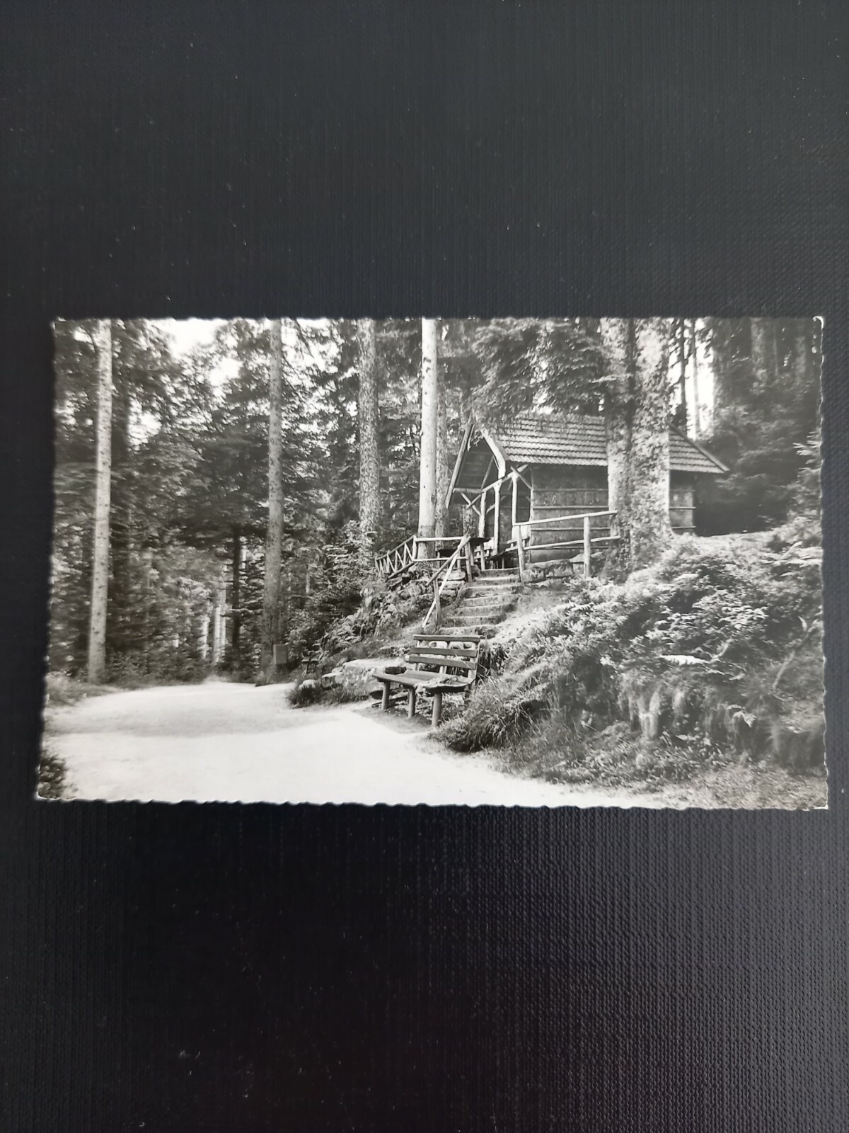 Freudenstadt Schwarzwald 110114 gr