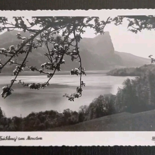 Mondsee Blick Auf Die Drachenwand 13002 gr I