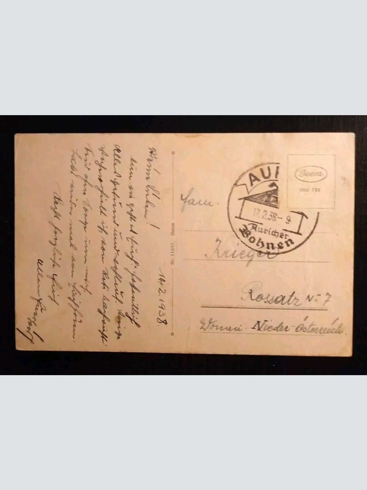 Ostfriesland Kühe 165658 gr I