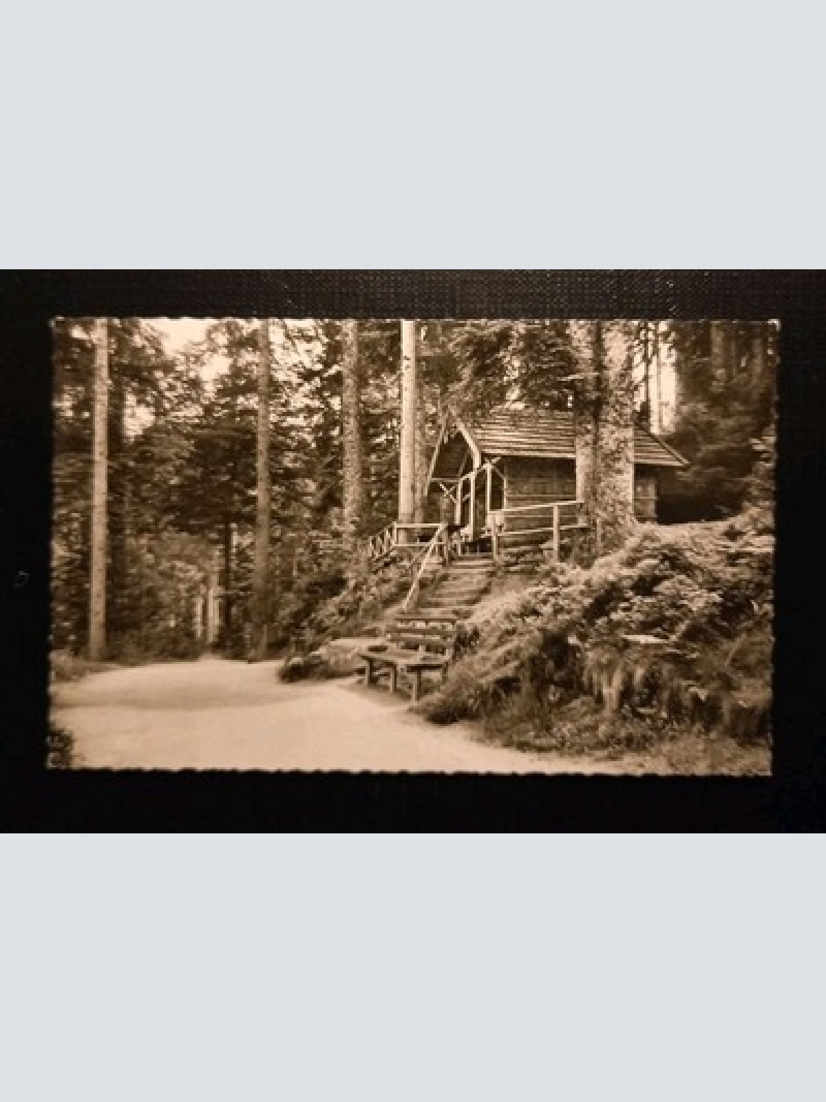 Freudenstadt Schwarzwald Teuchelweg Schöneckhütte 110114 Gr