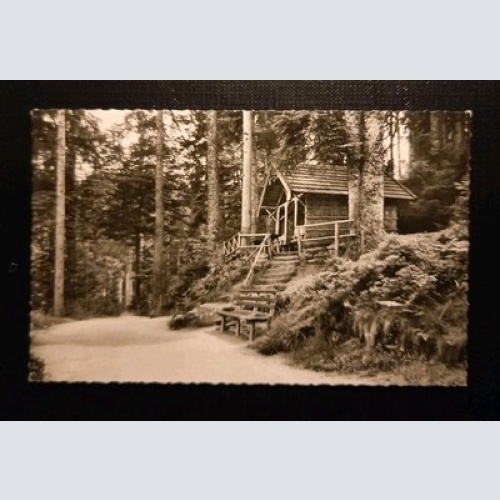 Freudenstadt Schwarzwald Teuchelweg Schöneckhütte 110114 Gr