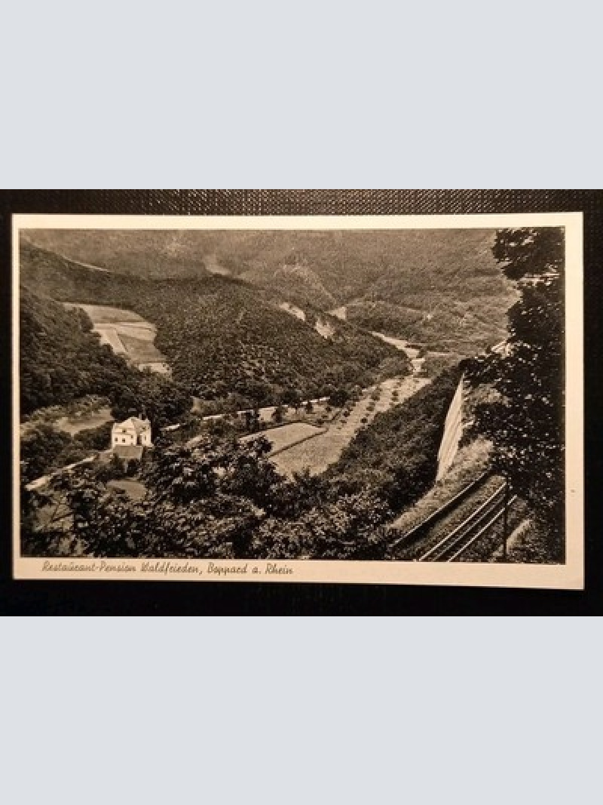 Boppard Am Rhein Restaurant Pension Waldfrieden 4006461 Gr