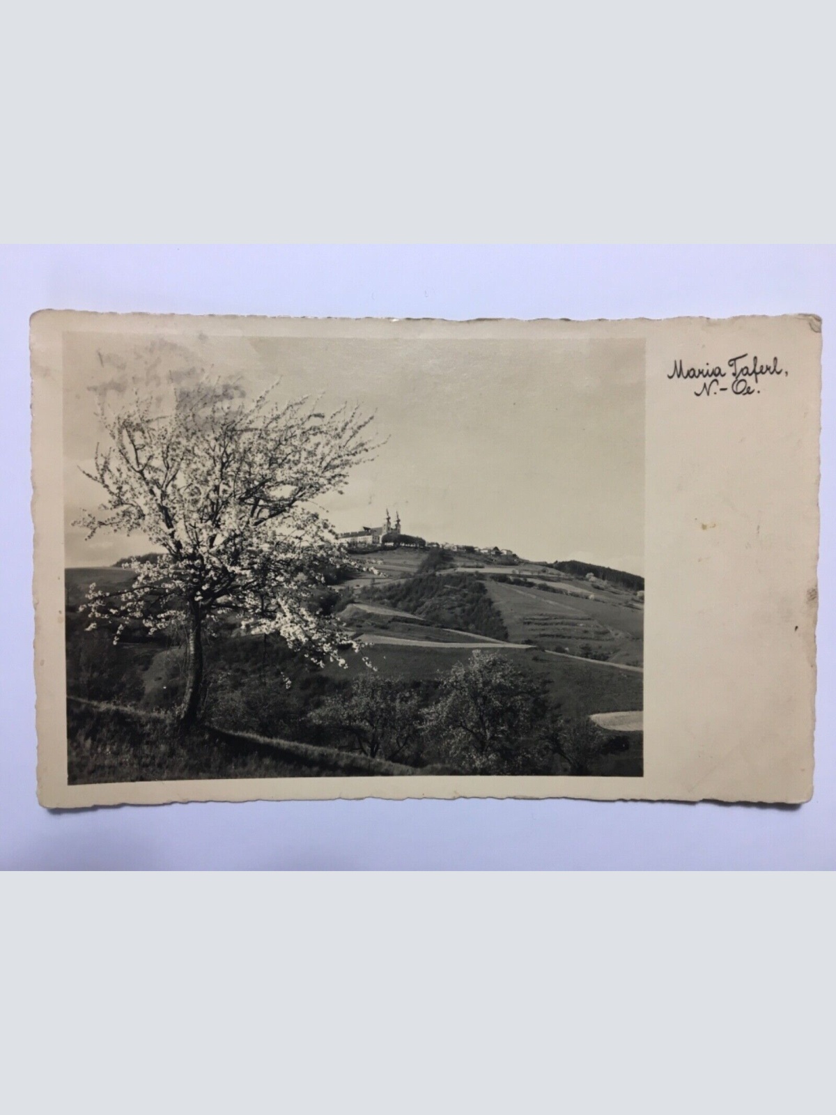 Maria Taferl 625 ShNÖ