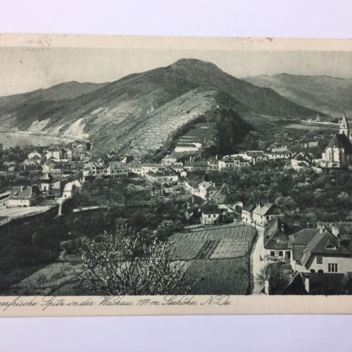 Spitz in der Wachau 616 ShNö