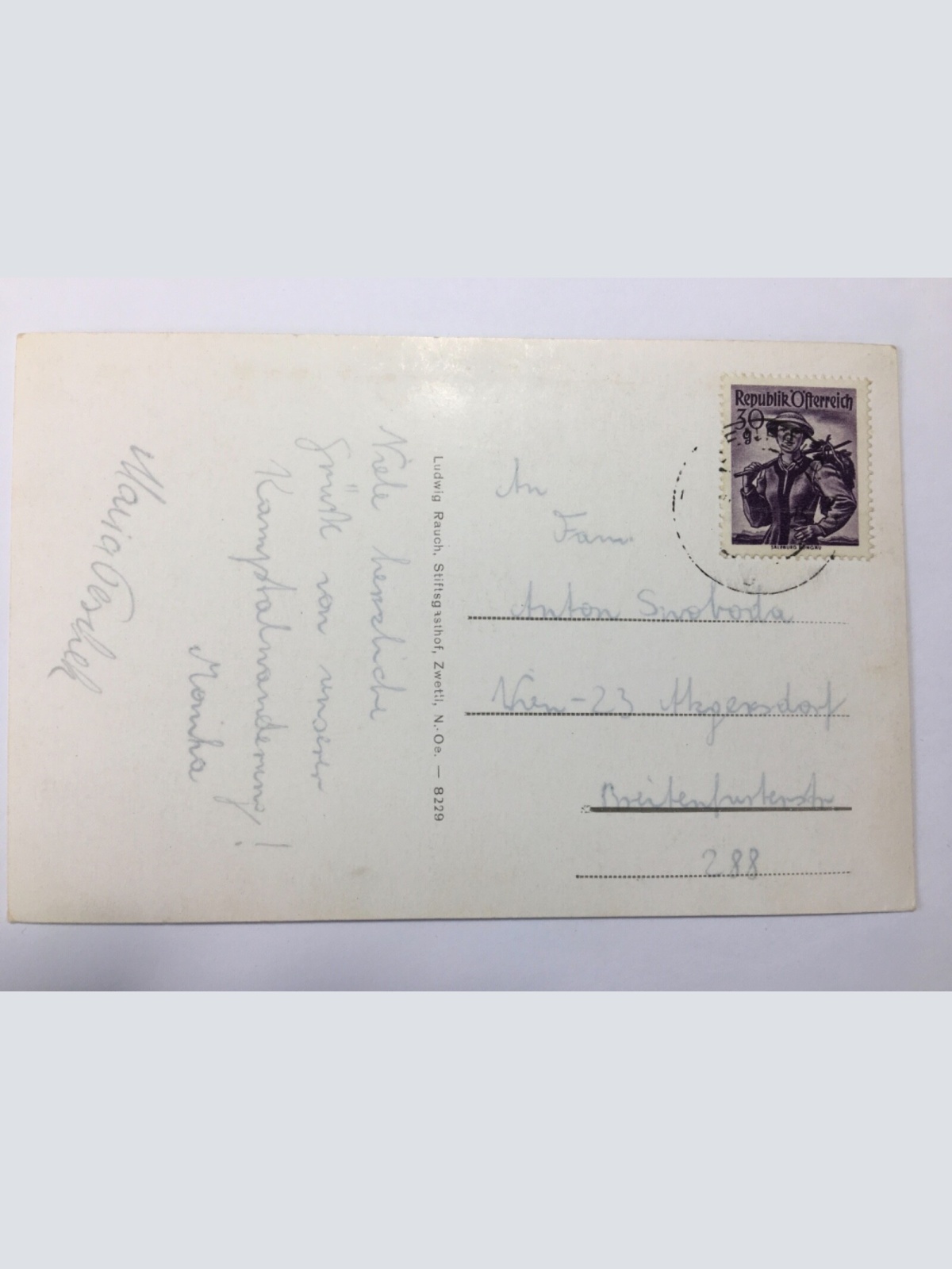 Zwettl - Stiftskirche mit Strebepfeiler 622 ShNÖ