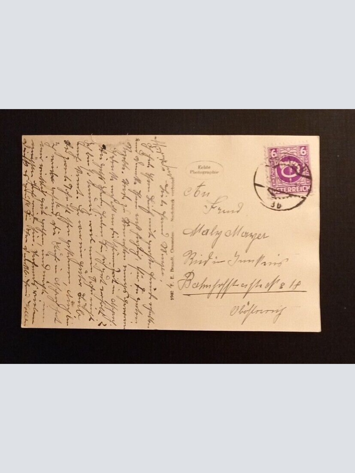 Salzkammergut Schwäne Am Traunsee 165789 H