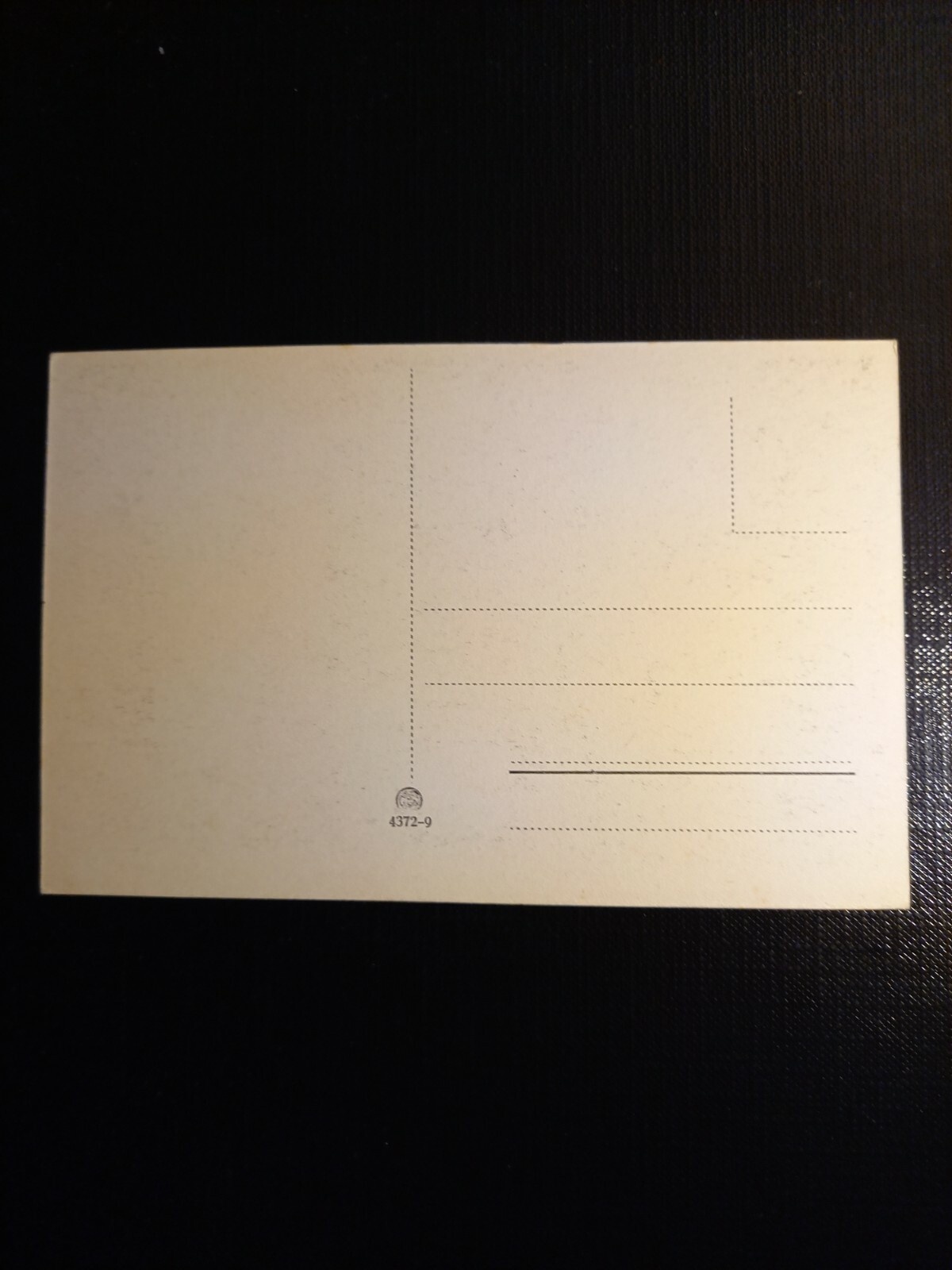 Firenze Basilica di S.Giovanni in Laterano 410743 gr C