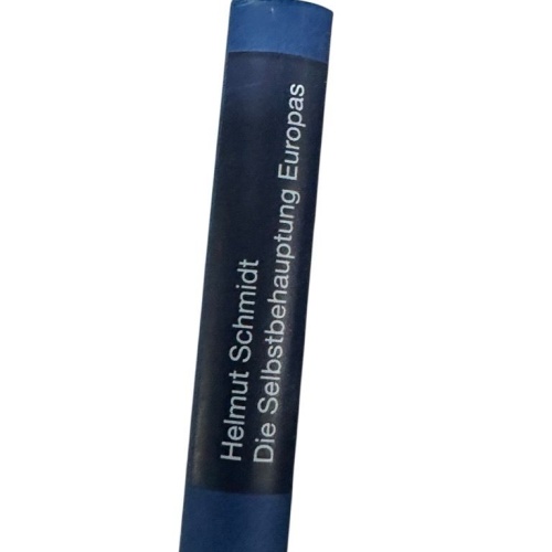 Die Selbstbehauptung Europas: Perspektiven für das 21. Jahrhundert Perspektiven