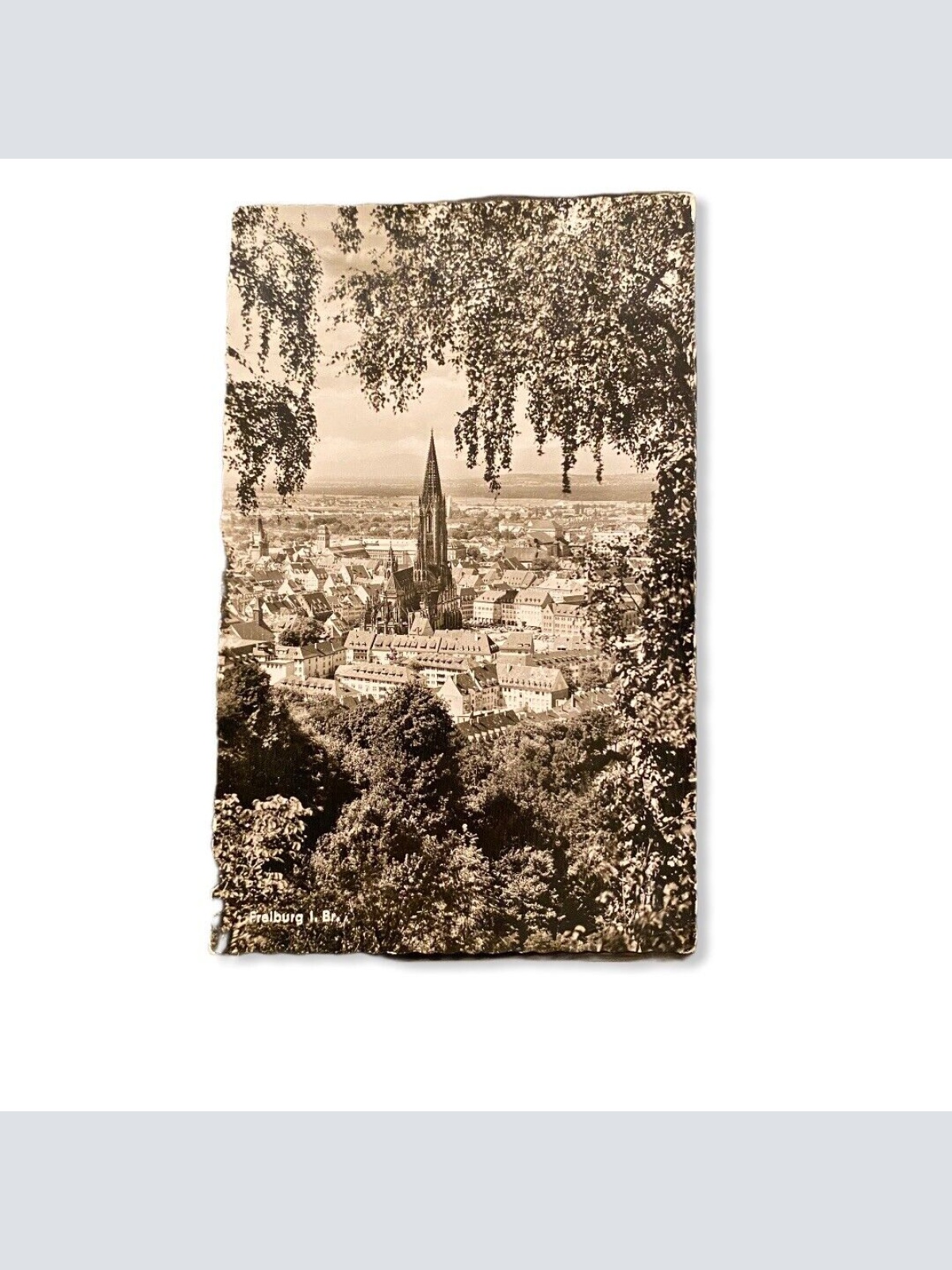 Freiburg im Breisgau 11008