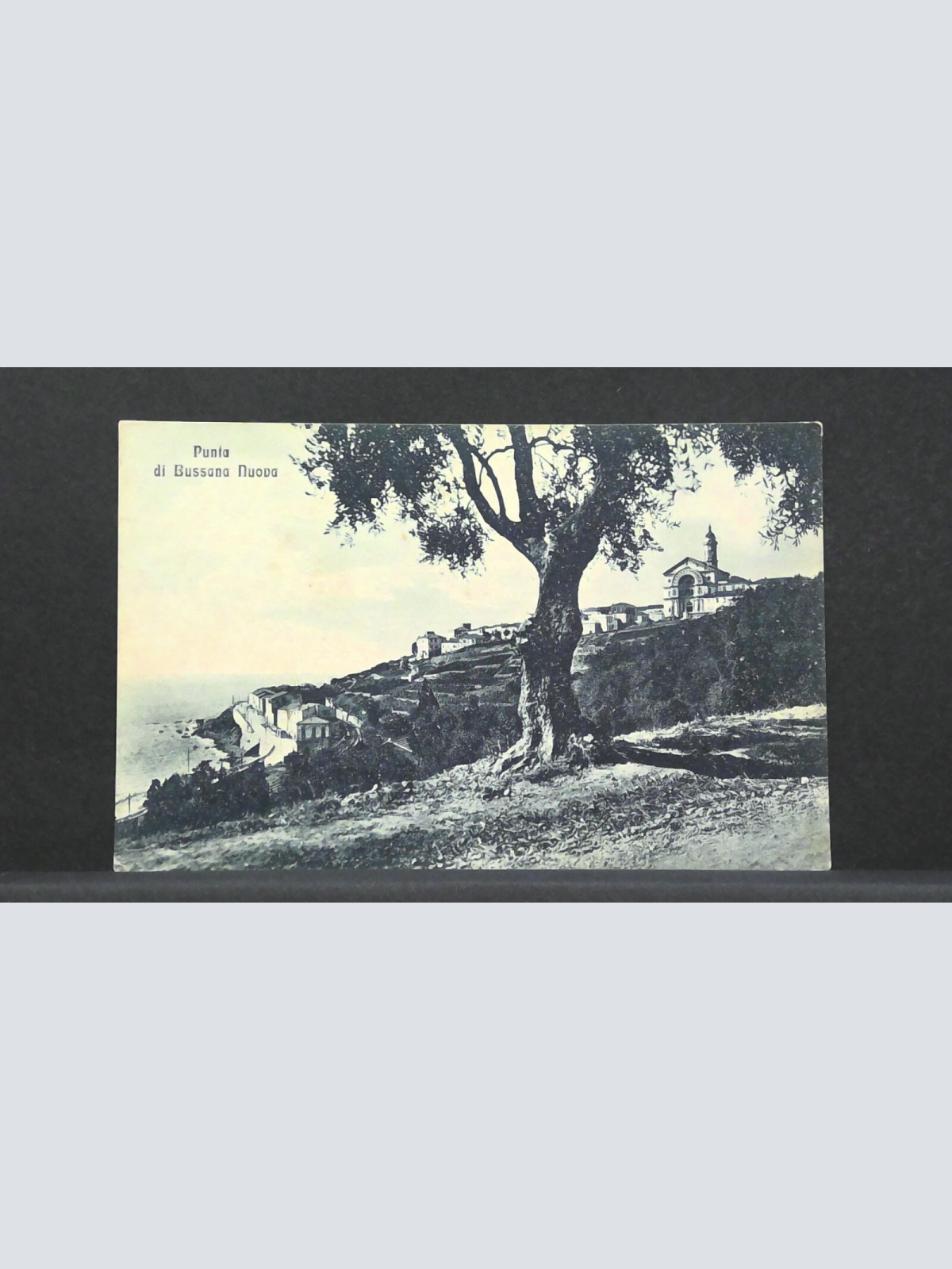 Punia di Bussana Nuova Meer JW 500268 F