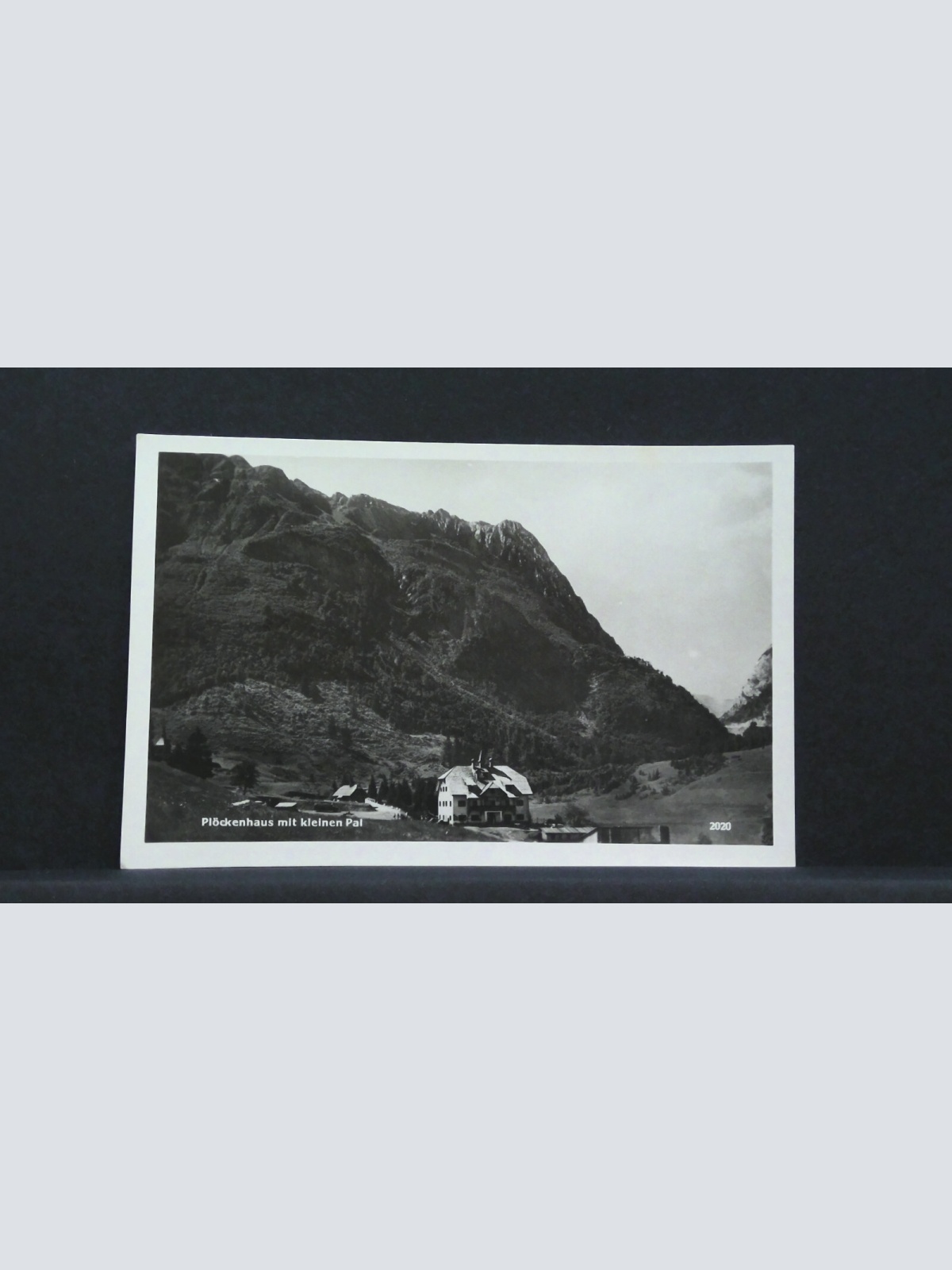 Plöckenhaus mit kleinem Pal JW 402957 F