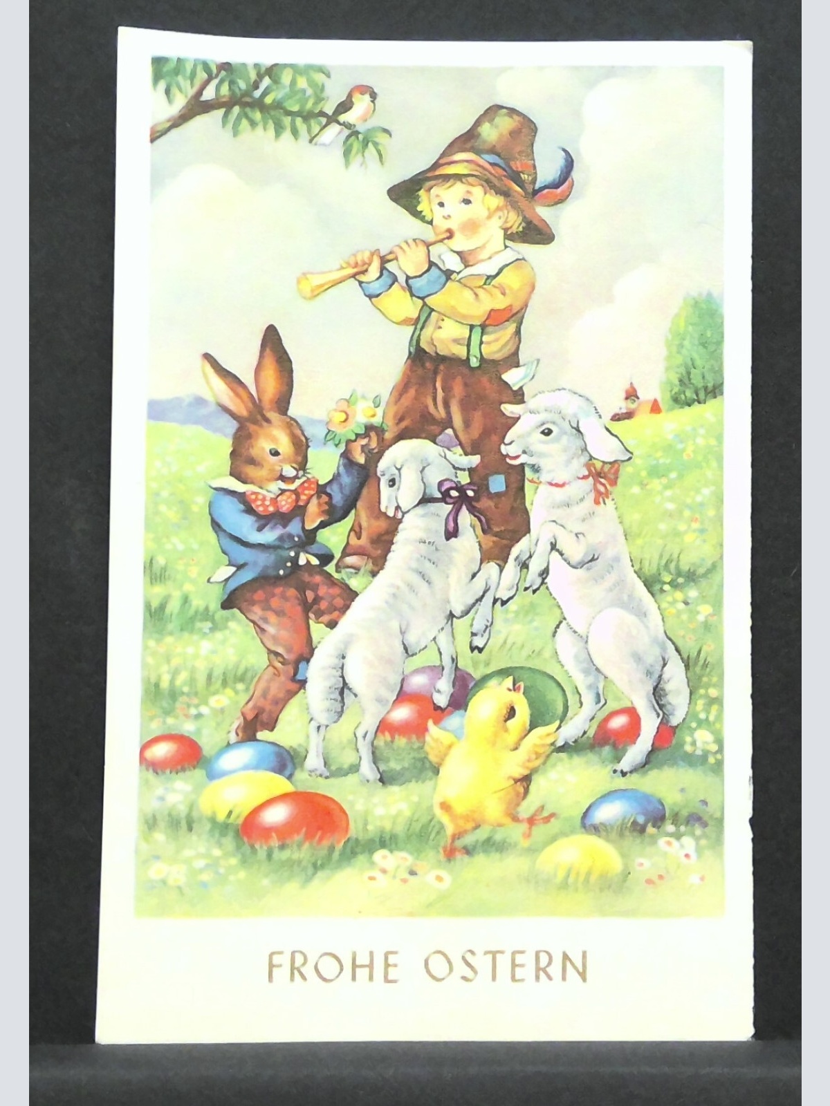 Frohe Ostern Junge Hase Lamm Küken Eier Vogel JW ohneZahl F