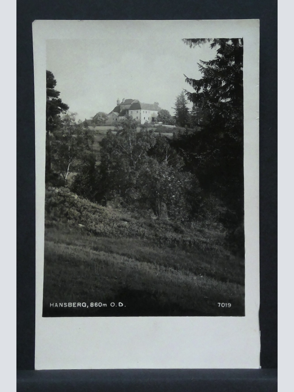 Hansberg Burg JW 500160 F