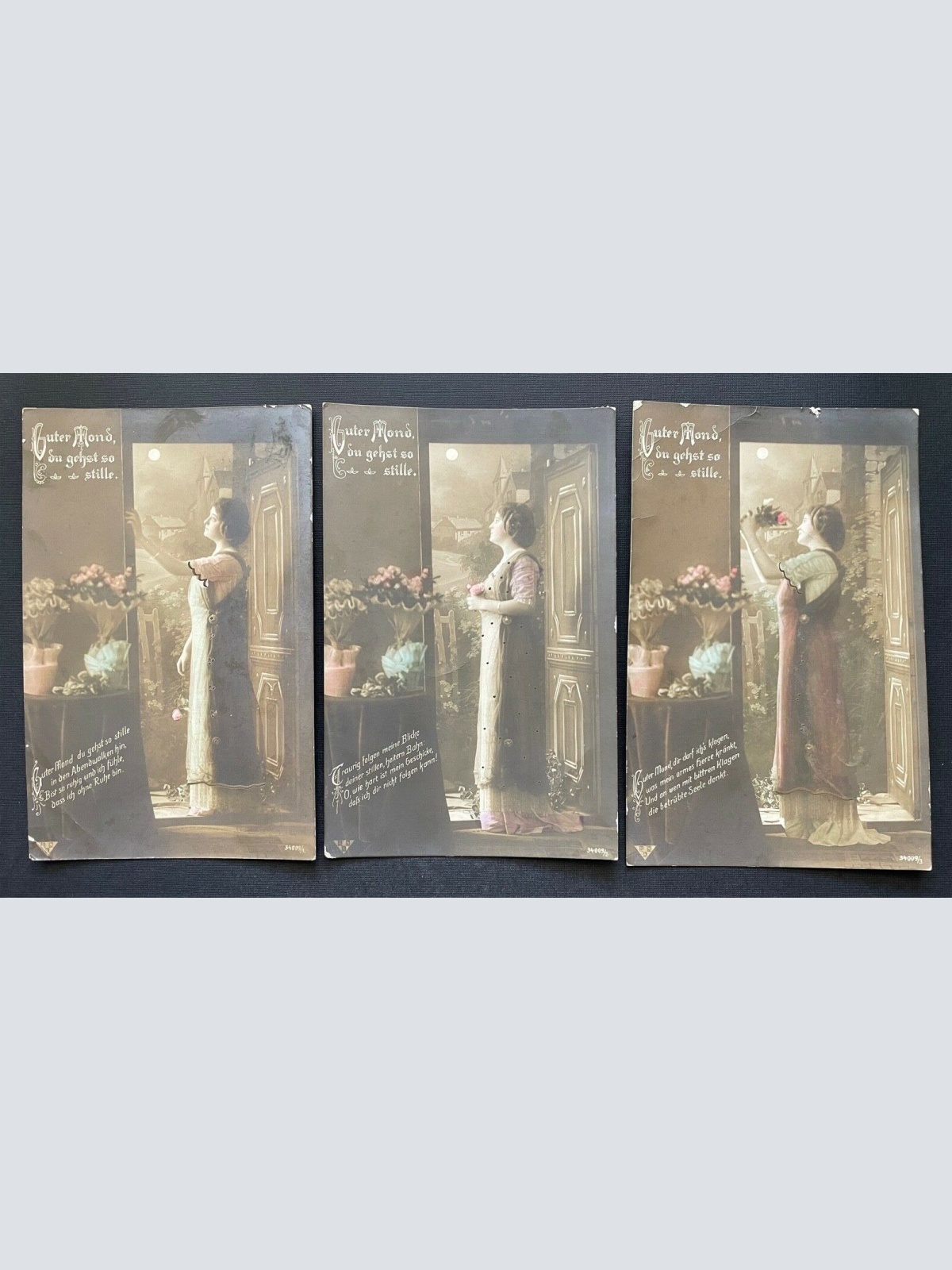 3er Set Guter Mond Gedicht Frau Kleid Nacht Mondschein Blumenstrauß 410785 TH