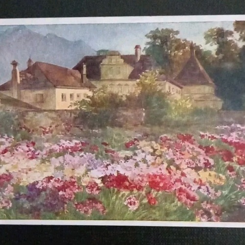 Künstlerkarte Das Nelkenfeld 600601A Gr