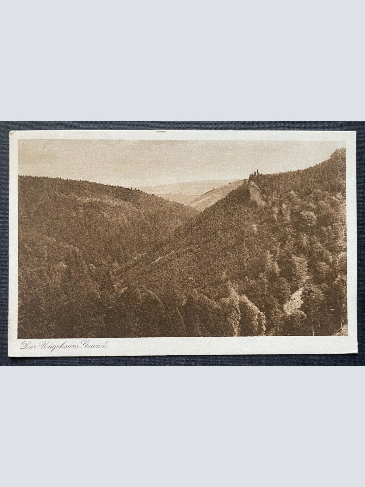 Der Ungeheure Grund Berg Gebirge Wald Thüringen Deutschland 410768 TH