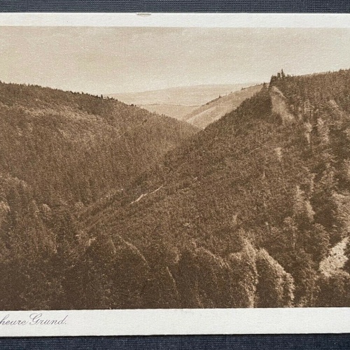 Der Ungeheure Grund Berg Gebirge Wald Thüringen Deutschland 410768 TH