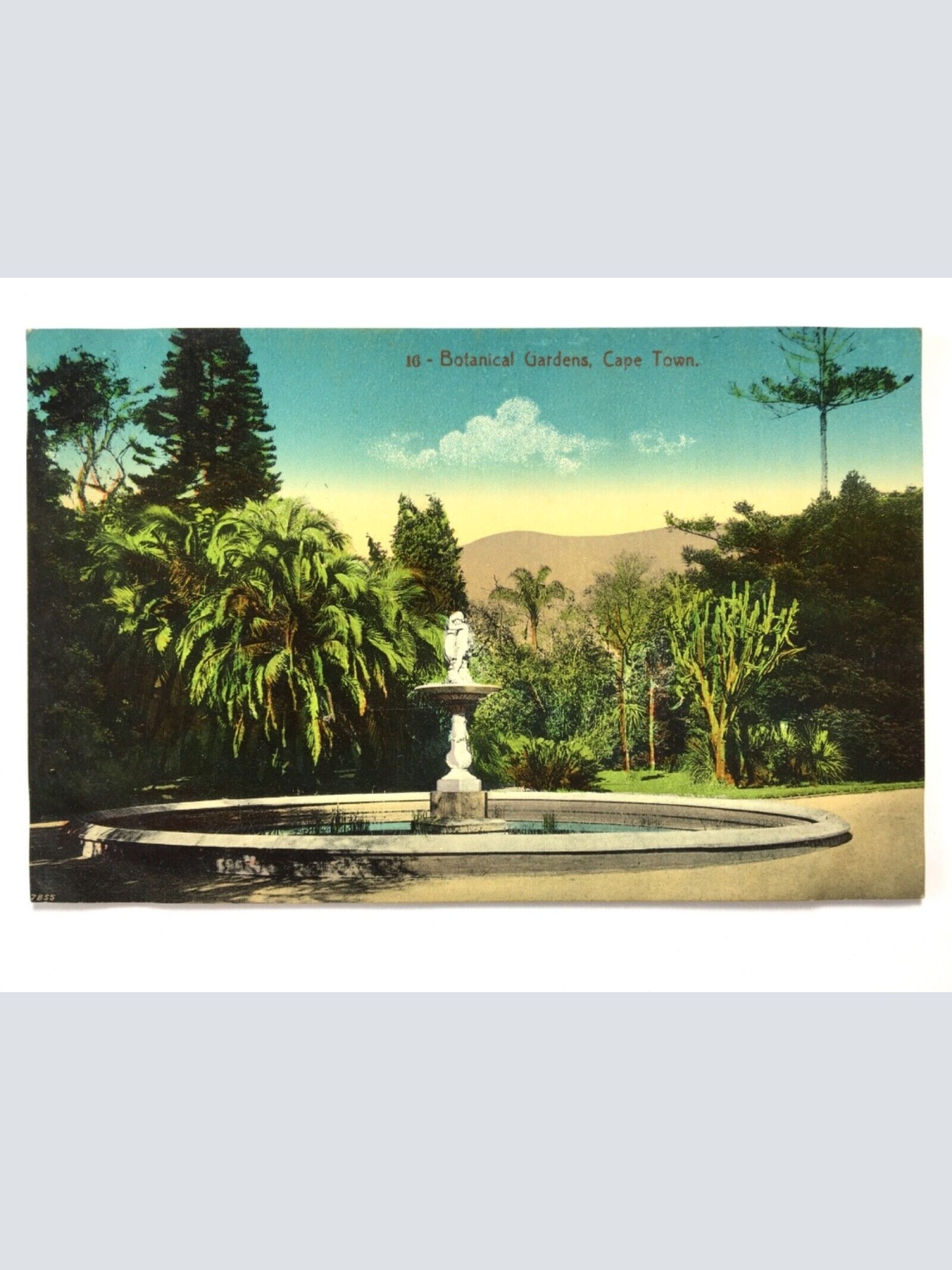 Kapstadt Cape Town - Botanical Gardens - Botanische Gärten & Brunnen 40243 TH