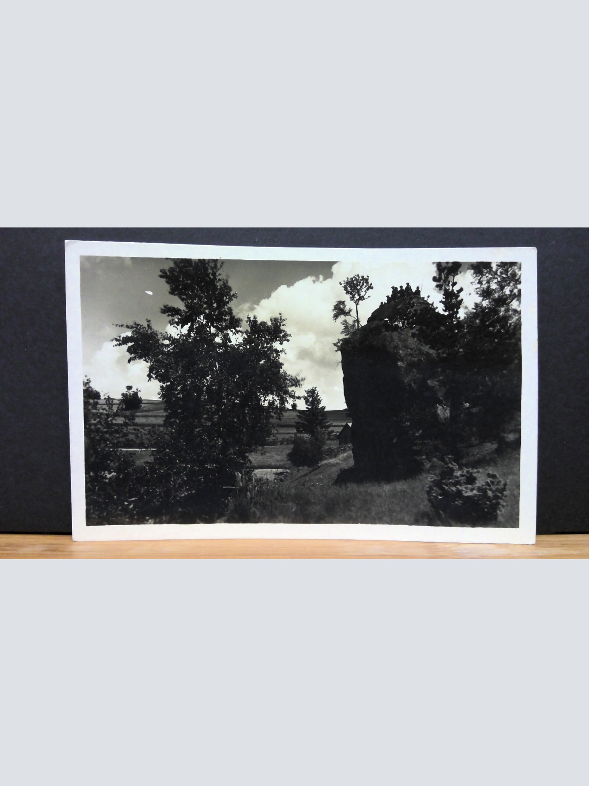 Skalny Grafo Cuda Hollice JW 650464 C