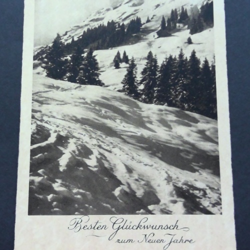 Beste Glückwünsche zum Neuen Jahr Schnee Berge JW 650201 C