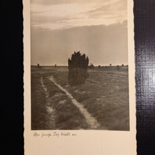 Der junge Tag bricht an 400581 gr A