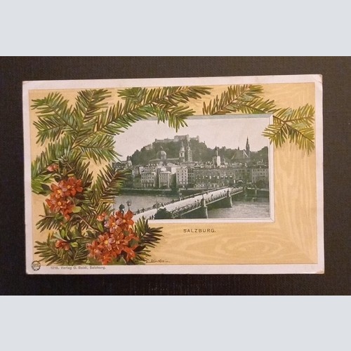 Salzburg Festung Tannenzweig 165790 H