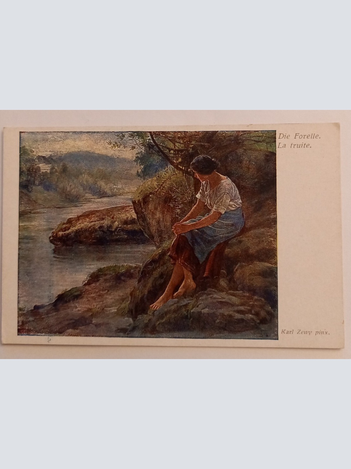 Die Forelle Karl Zewy 500017A gr D