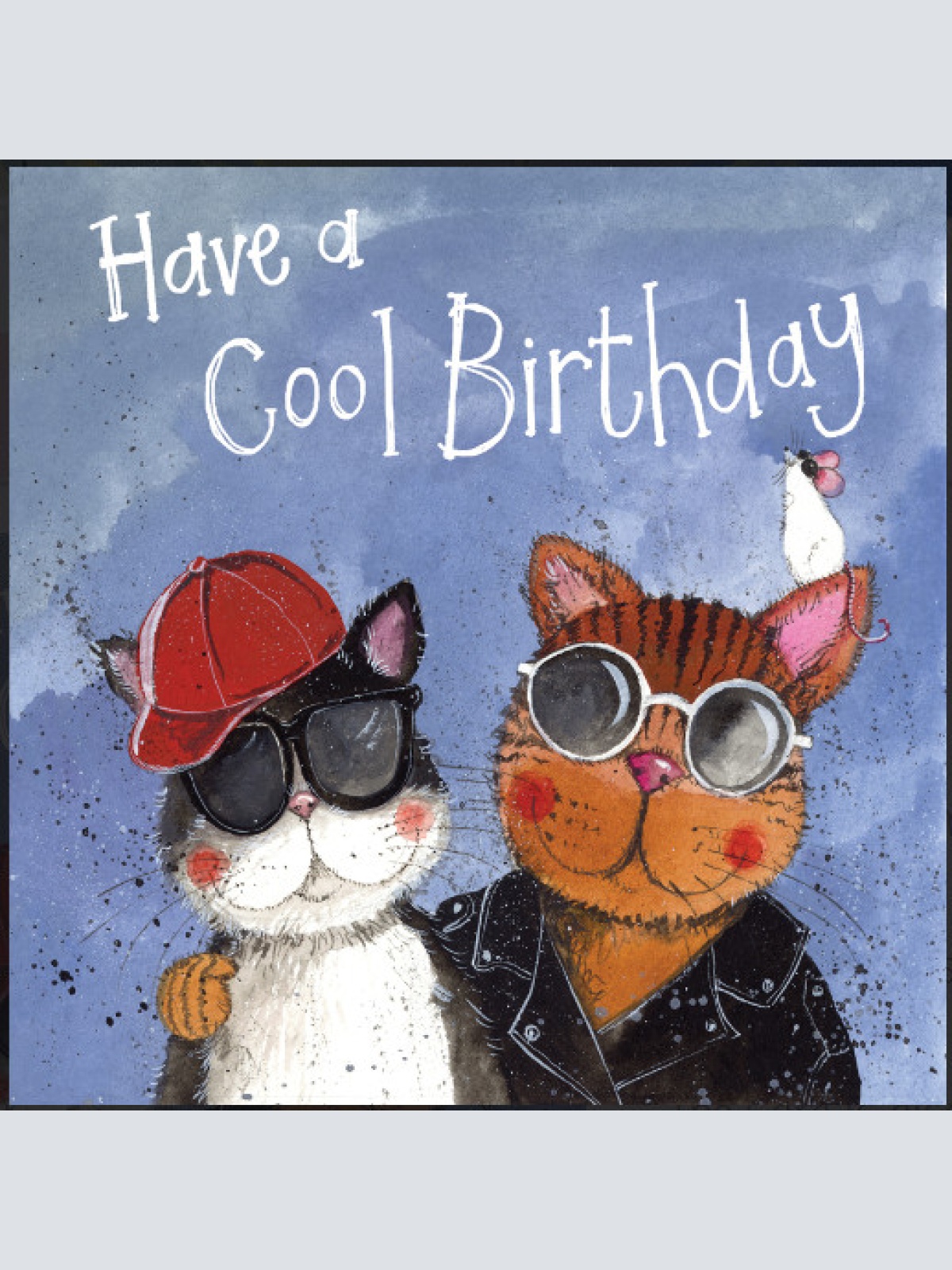 Alex Clark Karte Katzen Cool Cats zum Geburtstag 140x140 mm incl. Umschlag  0038