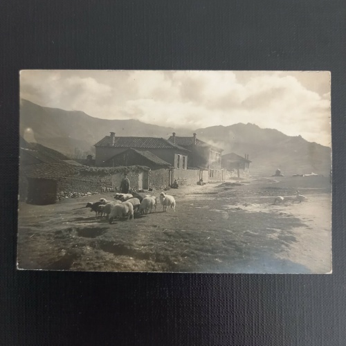 Landschaft mit Schafe 180317 GR A