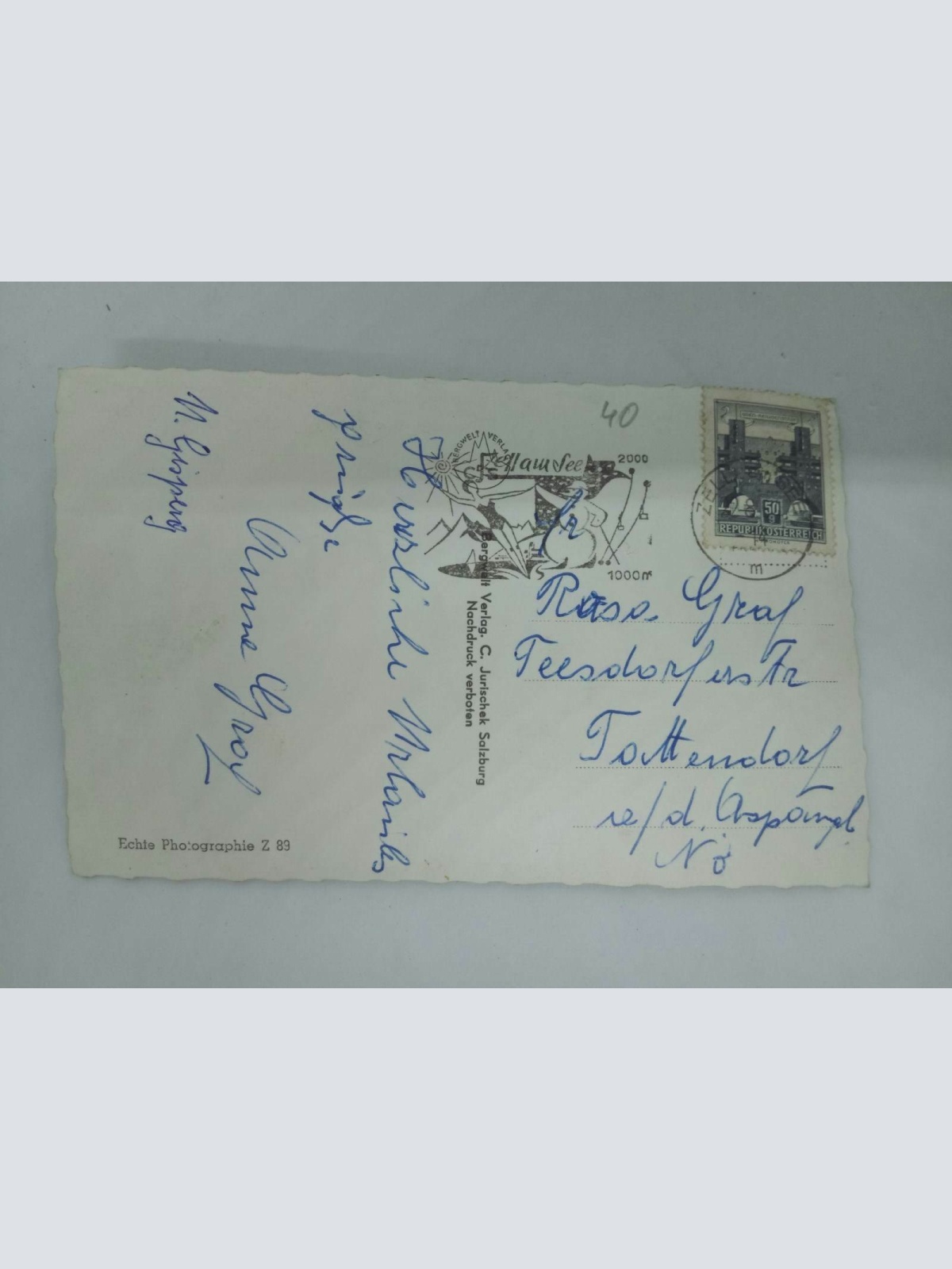 Zell am See Hotel Seehof gegen Schmittenhöhe 60036