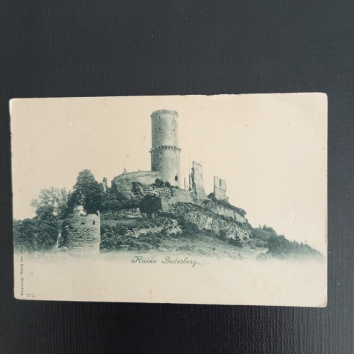Ruine Godesberg 180315 GR