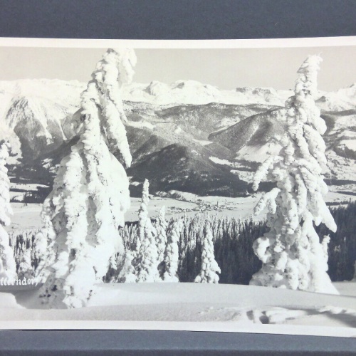 Mitterndorf Winterlandschaft JW 650393 C